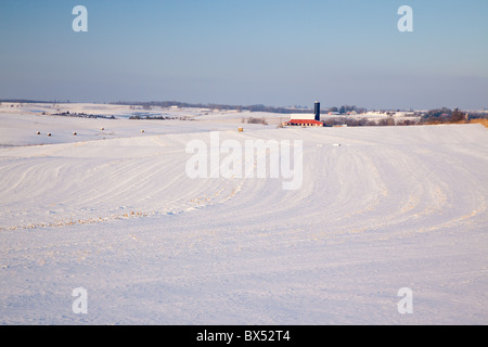 snow-covered field along the Driftless Area Scenic Byway, Allamakee County, Iowa Stock Photo