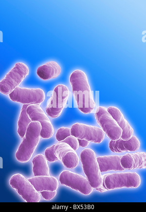 Rod shaped bacillus bacteria Stock Photo