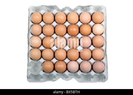 Eggs in safety package isolated on white background. Stock Photo