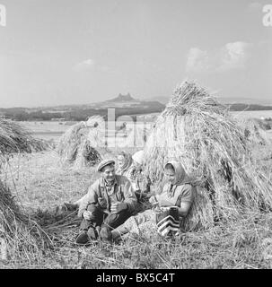 wheat harvest, United Agricultural Cooperative farmers rest by drying wheat bundles Stock Photo