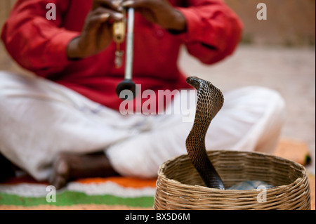 Snake charmer with King Cobra in the grounds of the Amber Palace in Jaipur, India Stock Photo