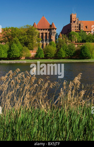 the gothic castle Malbork in Poland Stock Photo
