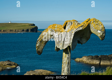 dh  BIRSAY ORKNEY Whale bone and Brough of Birsay Whalebone Orkney north coast Stock Photo