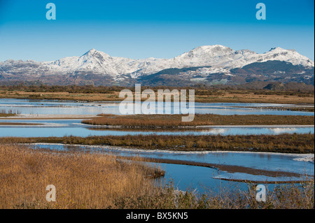 Looking across the Glaslyn estuary to Cnicht and Moelwyn Mawr mountains, Snowdonia National Park, Wales UK Stock Photo