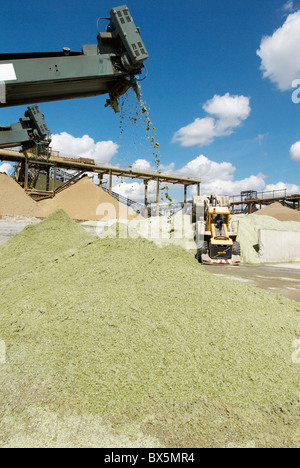 Conveyor belts on a Glass recycling machine at Day Aggregates  a construction materials and recycling plant, Greenwich, Stock Photo