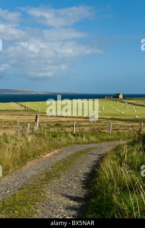 dh  EGILSAY ORKNEY Country land fields and farmhouse remote uk farm scotland isolated countryside house island track Stock Photo