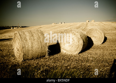 typical landscape in Italian region Tuscany Stock Photo