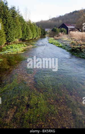 The River Chess is a clear running clean chalk stream flowing from Chesham 18 miles to Rickmansworth joining the River Colne. Stock Photo