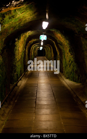 The Stevns Fort underground tunnels. Stevns. Denmark. Stock Photo