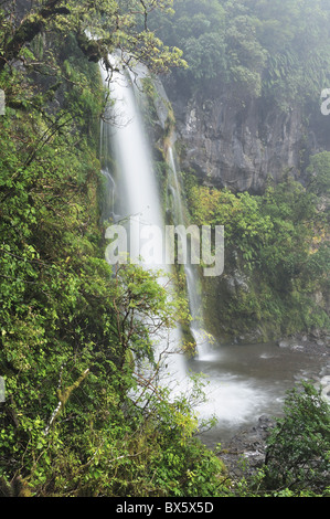 Dawson Falls, Mount Taranaki National Park (Mount Egmont National Park), Taranaki, North Island, New Zealand, Pacific Stock Photo