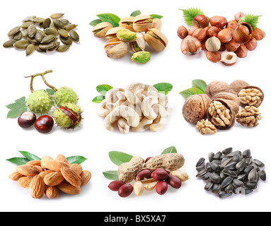 Сollection of ripe nuts and seeds on a white background Stock Photo