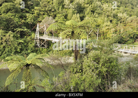 Tauranga historic bridge, Waioeka Gorge Scenic Reserve, Bay of Plenty, North Island, New Zealand, Pacific Stock Photo