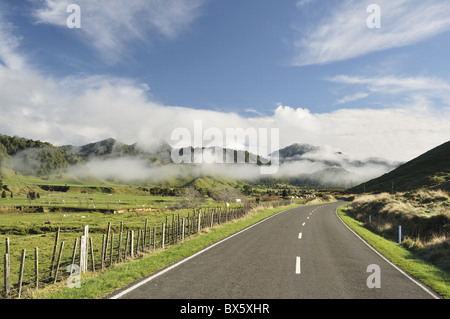 Road and farmland, near Matawai, Gisborne, North Island, New Zealand, Pacific Stock Photo