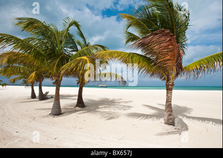 Cozumel beach pasion hi-res stock photography and images - Alamy
