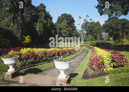 Flower garden in Peradeniya Botanic Gardens, Kandy, Sri Lanka, Asia Stock Photo