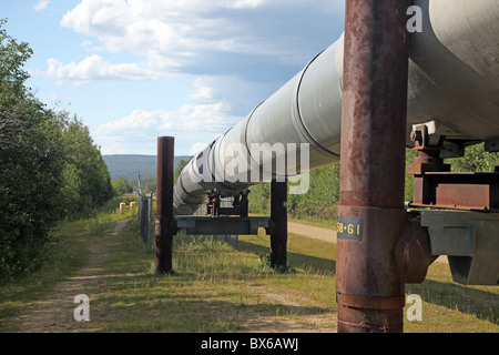 The trans Alaska pipeline pumping oil for gas, energy and industry, close up view with trees and blue sky in Alaska, USA. Stock Photo