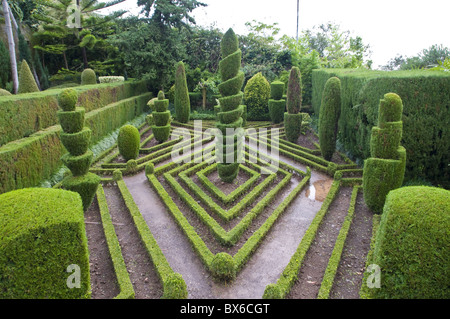 Topiary in formal garden, Botanical Garden, Funchal, Madeira, Portugal, Europe Stock Photo
