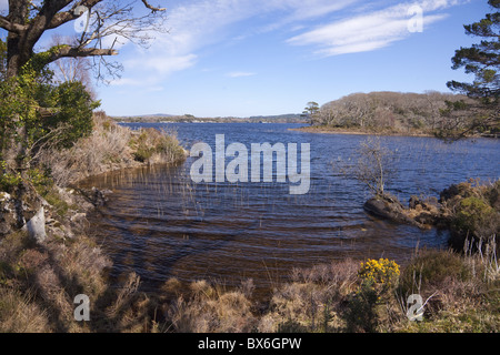 Mucross, Lake Killarney, Ring of Kerry, Munster, Republic of Ireland, Europe Stock Photo