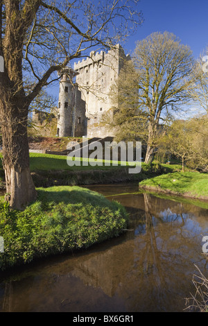 Blarney Castle in springtime, County Cork, Munster, Republic of Ireland, Europe Stock Photo