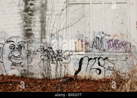 Graffiti Art along the B-Line trail in Bloomington, Indiana. Street art Midwest college town painting paint American Stock Photo