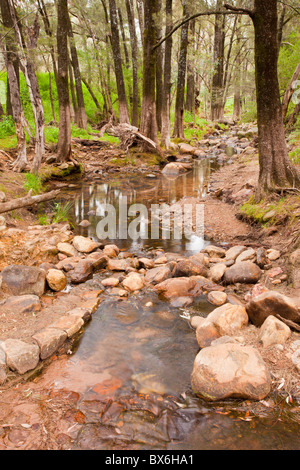 Rocky stream in Warrumbungles National Park, Coonabarabran, New South Wales Stock Photo