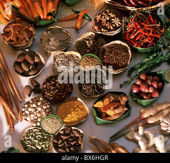 Spices used in Thai, Indian, Indonesian and Malay food, Thailand, Southeast Asia, Asia Stock Photo