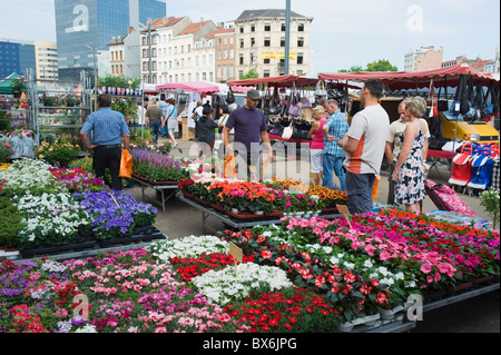 Gare Du Midi General Market, Brussels, Belgium, Europe Stock Photo - Alamy