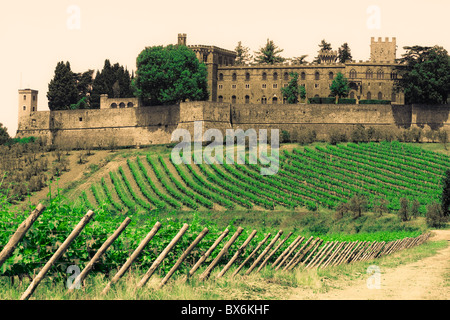 landscape in Tuscany - Castello di Brolio with wineyard Stock Photo