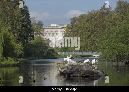 St. James's Park lake from Pelican Rock to Buckingham Palace, London, England, United Kingdom, Europe Stock Photo