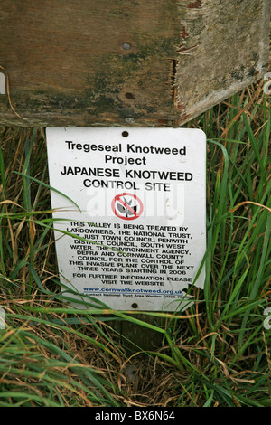 A sign saying Tregeseal Knotweed Project, Japanese Knotweed control site Stock Photo