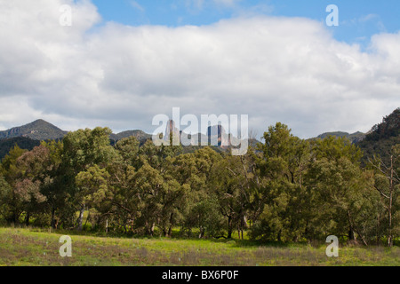 Belougery Spire and Crater Bluff in Warrumbungle National Park, Coonabarabran, New South Wales Stock Photo