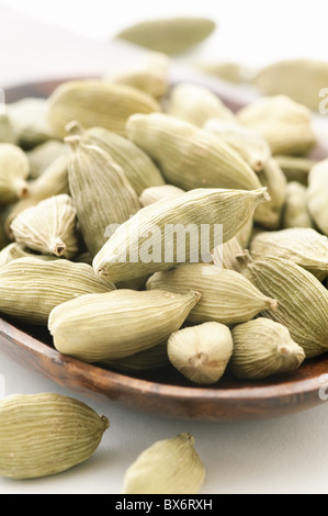 Green cardamom seed as closeup on teak spoon on white background Stock Photo
