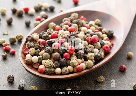 Pepper corn mix as closeup on teak spoon Stock Photo