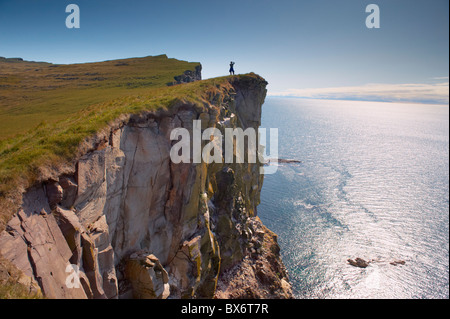 High cliffs rising to 400m at Latrabjarg, the largest bird colony in Europe, West Fjords region (Vestfirdir), Iceland Stock Photo