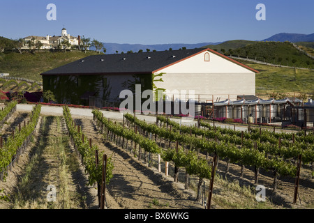 Leonesse Winery, Temecula, California, United States of America, North America Stock Photo