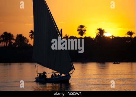 A stunning and beautiful image of a traditional Egyptian sail boat called a felucca on the Nile at sunset with palms behind Stock Photo