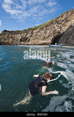 Snorkelling at Vincente Roca Point on Isla Isabela (Isabela Island), Galapagos Islands, UNESCO World Heritage Site, Ecuador Stock Photo