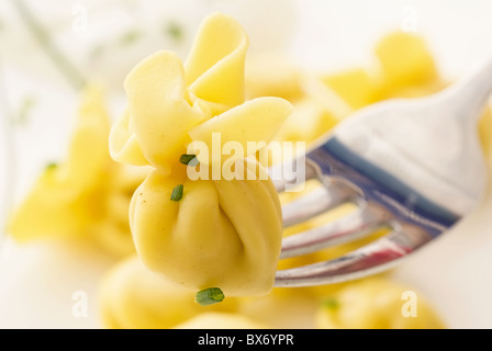 Italian tortellini with leek as closeup on a white plate Stock Photo