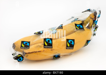 Bunch of healthy option Fairtrade bananas wrapped in a plastic bag on a white background. England UK Britain Stock Photo