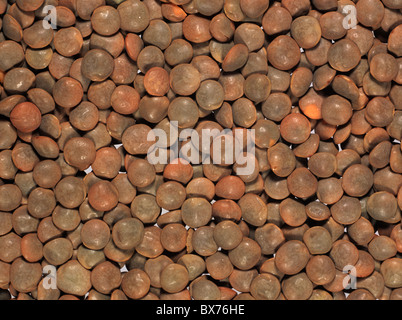 Brown lentils (Lens culinaris) prepared for cooking, produce of Turkey Stock Photo