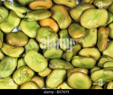 Broad bean seeds (Vicia faba) Stock Photo