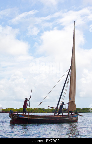 Raising sail on a dhow, Lamu Island, Kenya Stock Photo