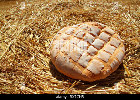 Bread bun round on golden wheat straw background Stock Photo