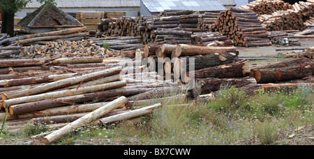 Logs timber industry trunks stacked outdoor stock Stock Photo