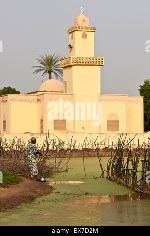 Yellow coloured, modern shaped, mosque in front of a duckweed covered pond in a rural village in Mali, West Africa. Stock Photo