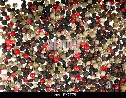 Close-up of colorful grain spice pepper as background Stock Photo