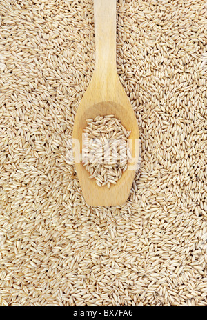 Wooden spoon and dried husked oats - detail - directly above Stock Photo