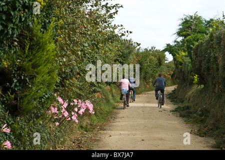 dh Country lane Channel Islands LITTLE SARK SARK ISLAND Family of cyclists riding down bicycles riders cycling lanes bicycling Stock Photo
