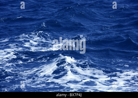 Blue wavy water with white foam in stormy sea ocean surface Stock Photo
