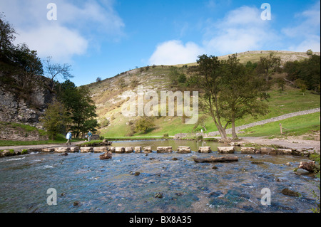 Dovedale in the Peak District with the stepping stones shown that are used for crossing the River Dove. Dovedale is a very popular area for visitors. Stock Photo